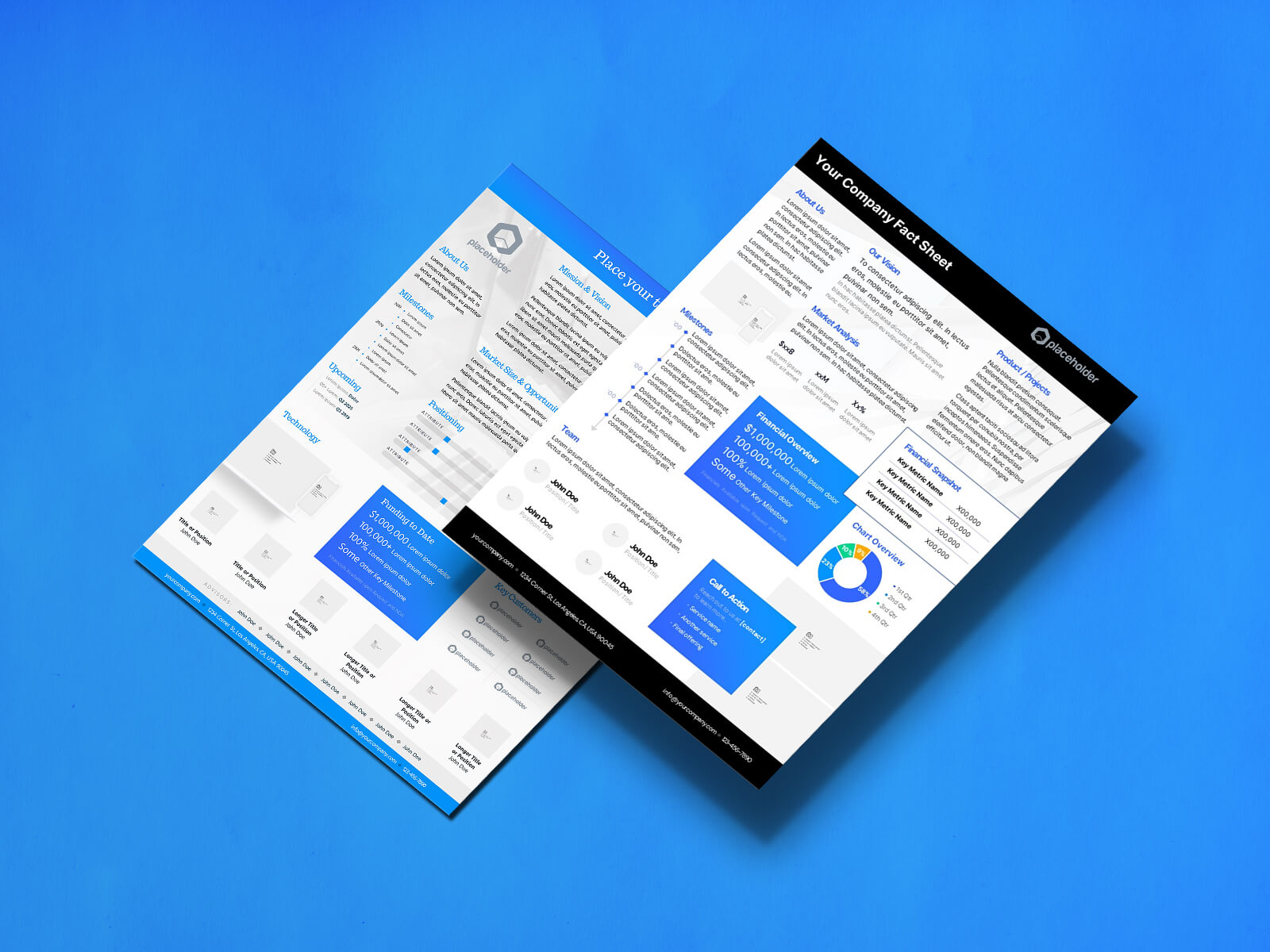 Executive Summary Bundle